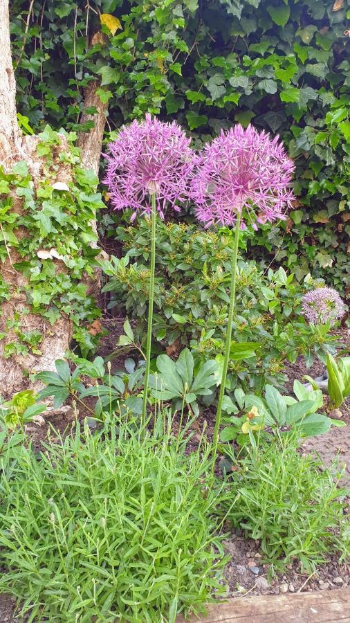 Вілла The Old Bank Beautiful Cotswold House With Huge Garden Mickleton  Екстер'єр фото